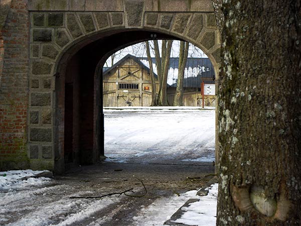 Wycieczka do puszczy Białowieskiej