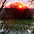 Biebrza�ski Park Narodowy