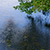 Narew brzegi rzeki