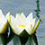 fotografie wody