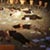 Fina� warsztat�w teatralnych - Gdyby to by�a moja ulica