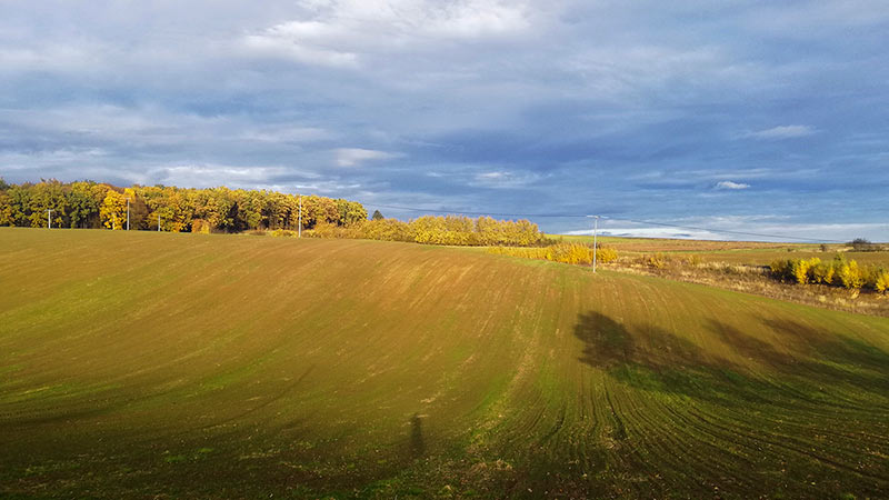 widok z polami
