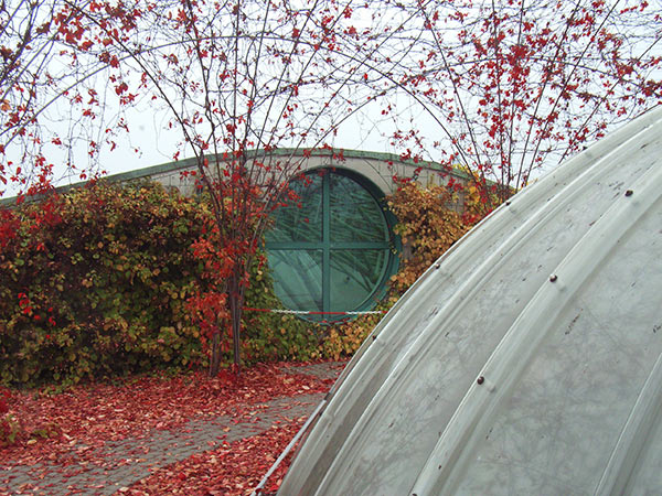 park na dachu biblioteki UW
