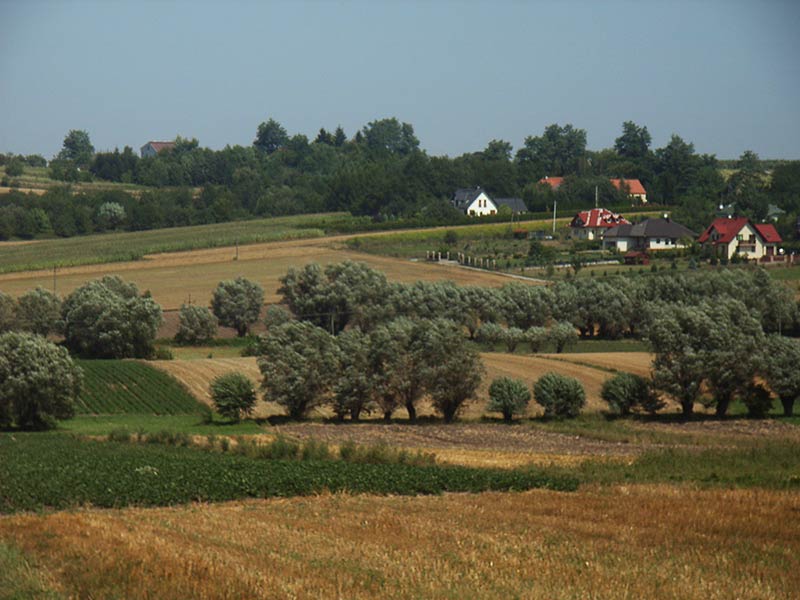 Małopolska