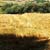 Kadr�wka 