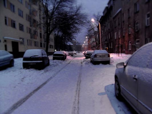 zima i staw 