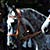 samoch�d pancerny