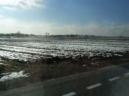 patrzenie do góry