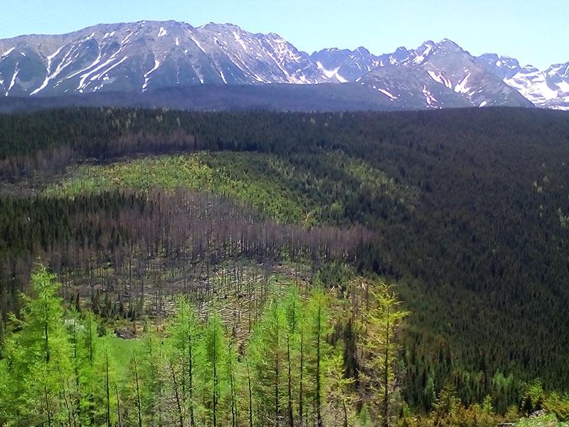 panorama tatr