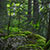 Tatry w maju