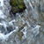 Tatry w maju