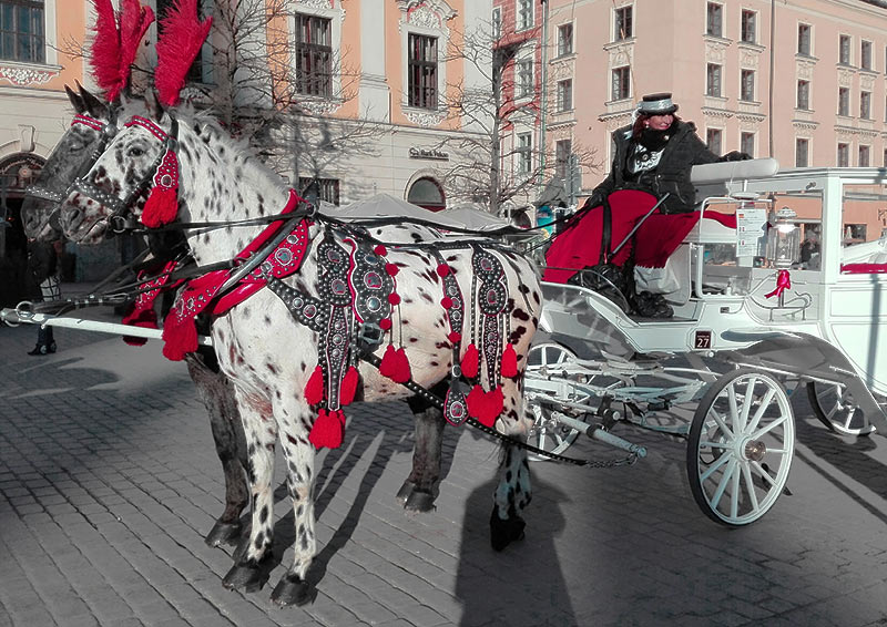 Dorożka na krakowskim Rynku