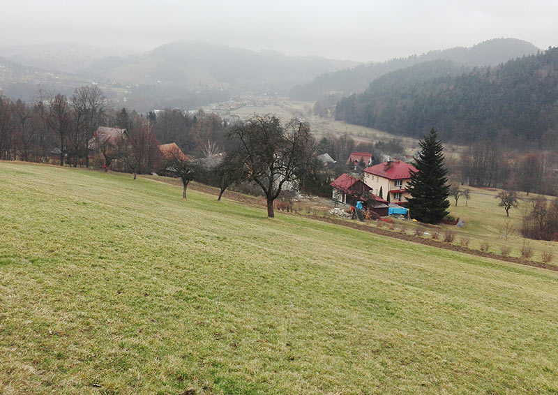 schodząć z góry Zęzów Beskid wyspowy koło Limanowej