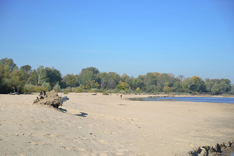 Wisła koło Warszawy, łachy na rzece