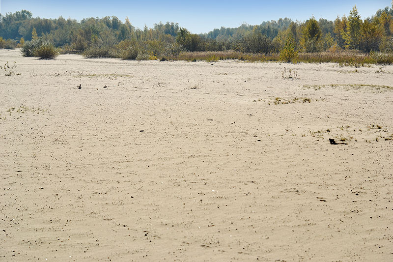 Wisła koło Warszawy, szeroka plażą