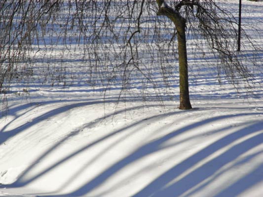 cienie układajace się w paski zima i Warszawa 