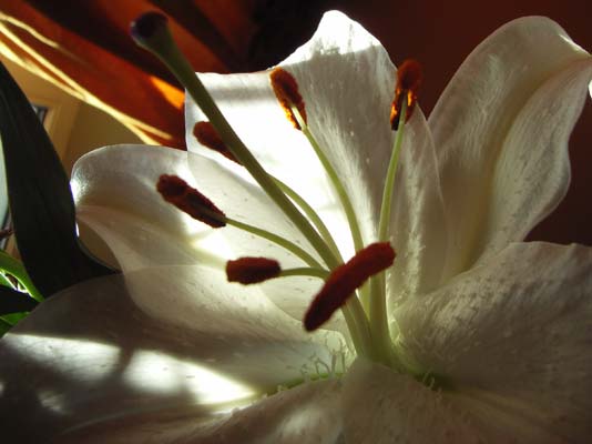 PhotoBlog 5