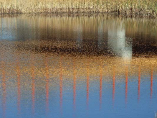 PhotoBlog 7