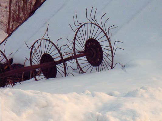 w śniegu