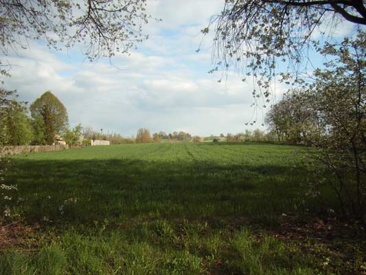 Pejzaż sielski