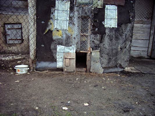 kurnik byle co