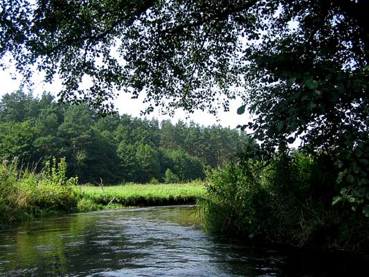 Zwierzyniec zalew