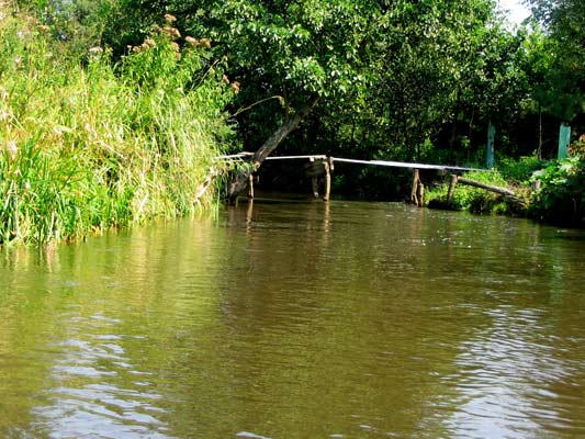 Zwierzyniec Wieprz