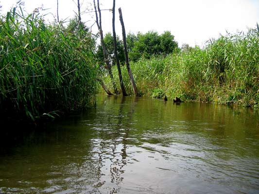 Zwierzyniec kajaki