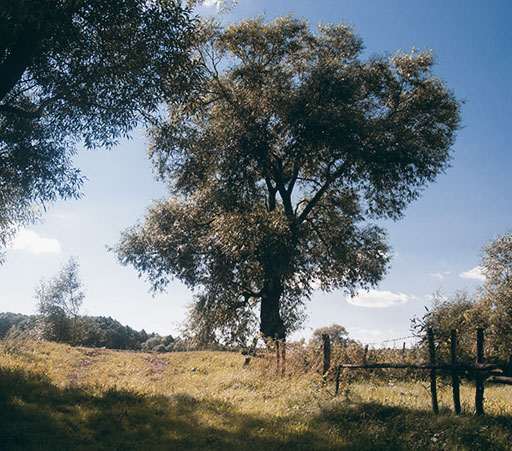 Photoblog Podlasie