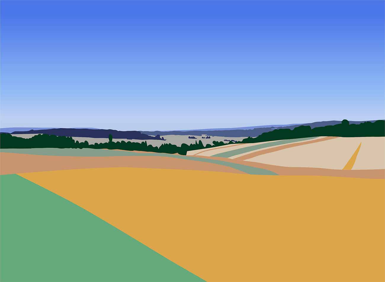wiejski pejaaż z polami narysowany w grafice wektorowej