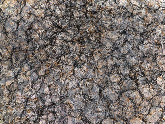 Photoshop brush test